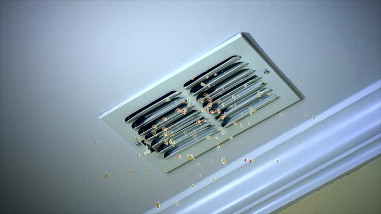 Best HVAC Duct Inspection Services  in Fort Davis, TX
