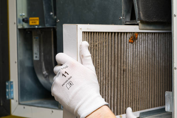 Best Best Air Duct Cleaning Near Me  in Fort Davis, TX